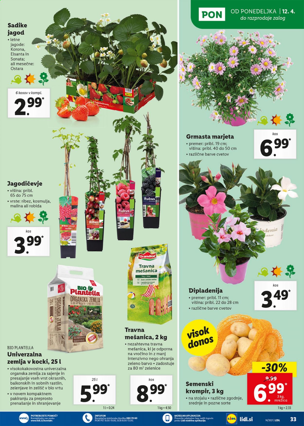 Lidl katalog - 8.4.2021 - 18.4.2021. Stran 33