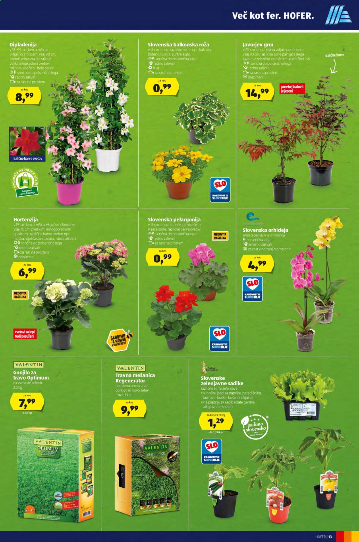 Hofer katalog - 9.4.2021 - 17.4.2021. Stran 13