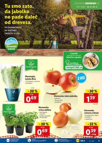 Lidl katalog