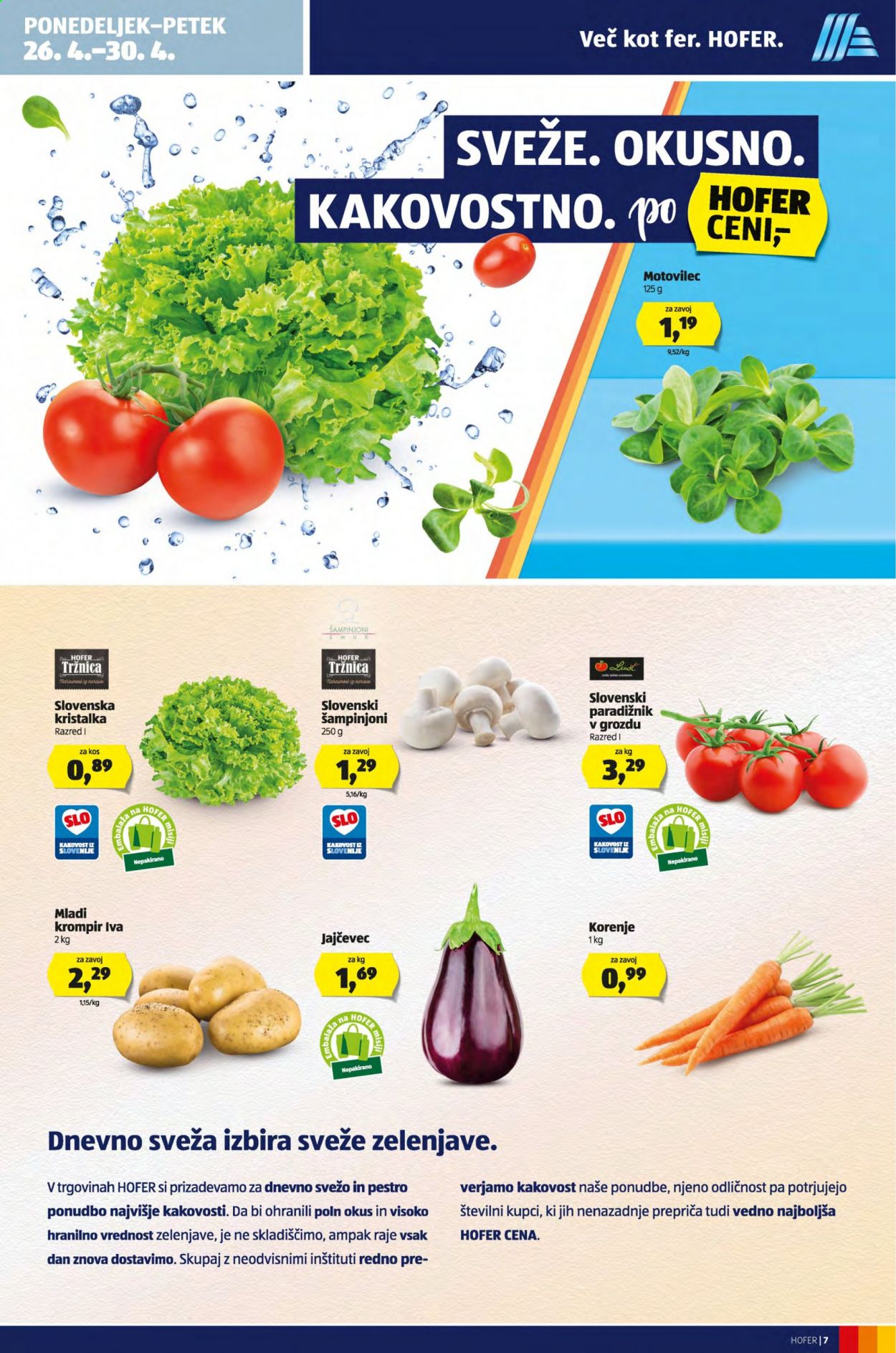 Hofer katalog - 23.4.2021 - 30.4.2021. Stran 7
