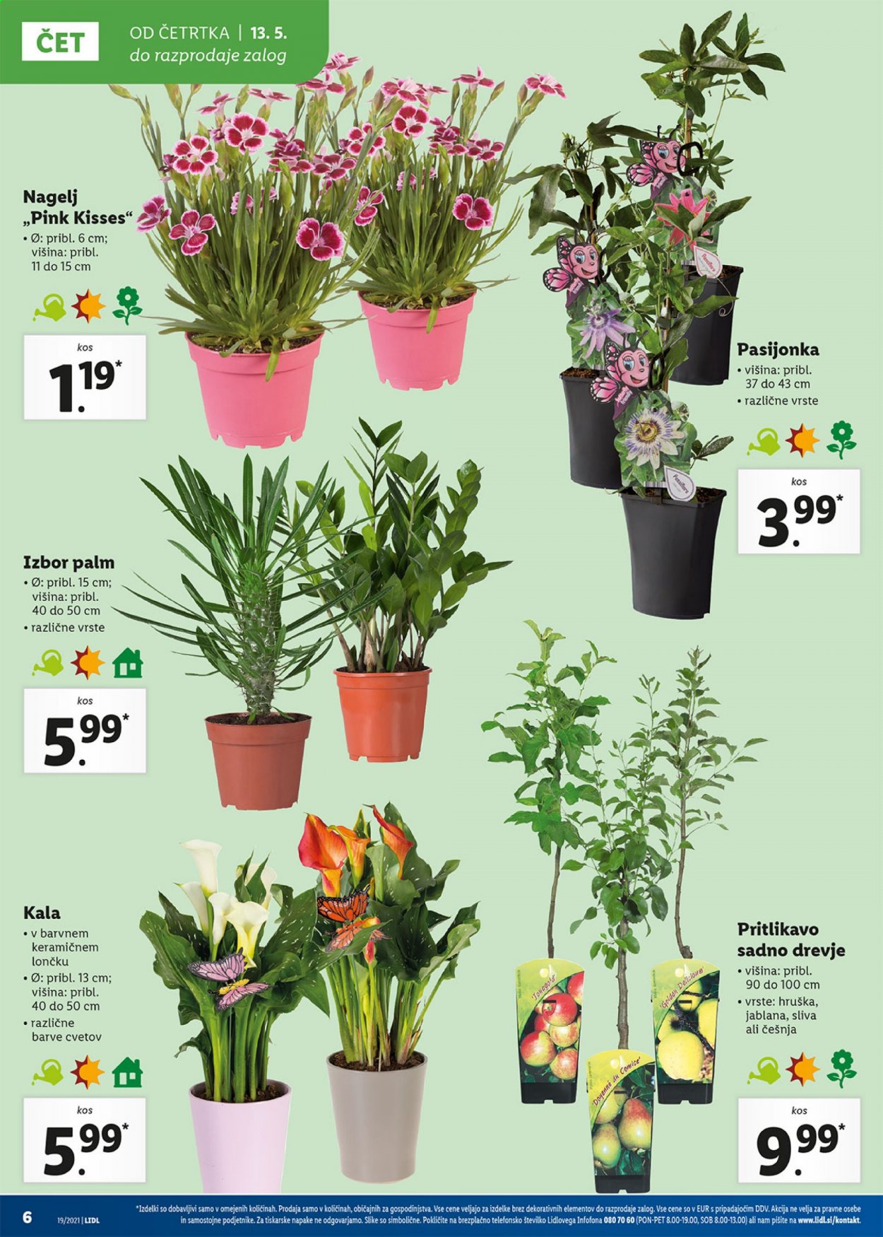 Lidl katalog - 13.5.2021 - 23.5.2021. Stran 6