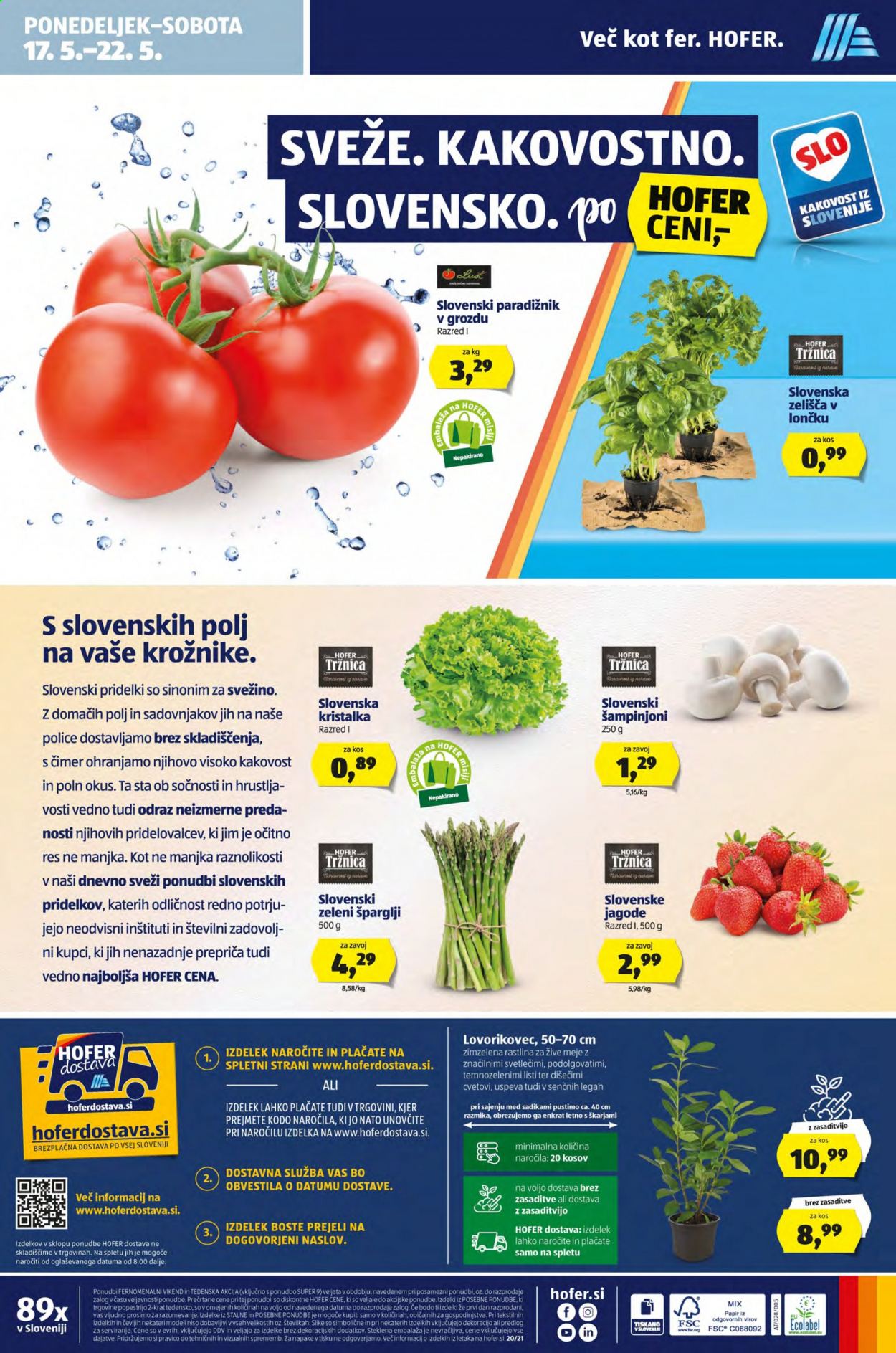 Hofer katalog - 14.5.2021 - 22.5.2021. Stran 20