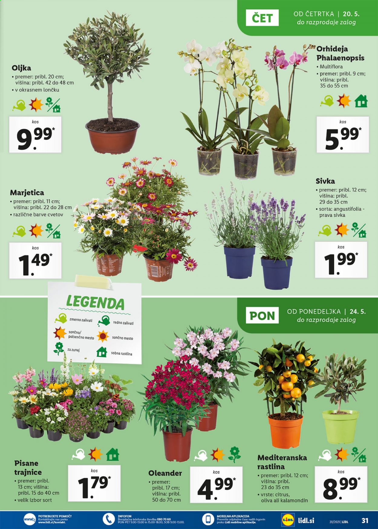 Lidl katalog - 20.5.2021 - 30.5.2021. Stran 31