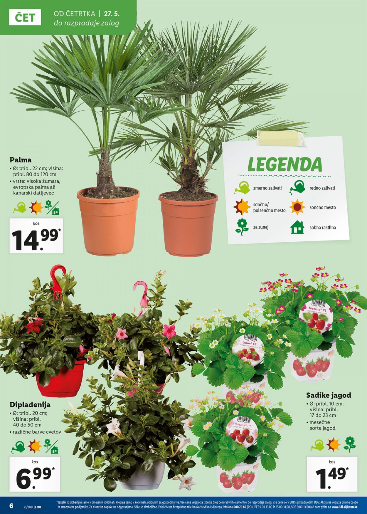 Lidl katalog - 27.5.2021 - 2.6.2021. Stran 6
