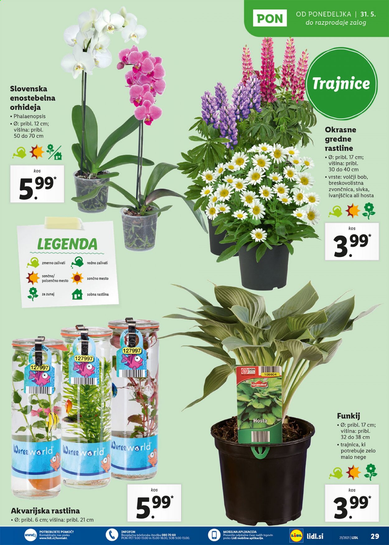 Lidl katalog - 27.5.2021 - 2.6.2021. Stran 29