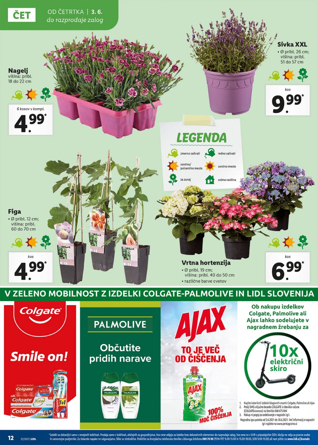 Lidl katalog - 3.6.2021 - 13.6.2021. Stran 12