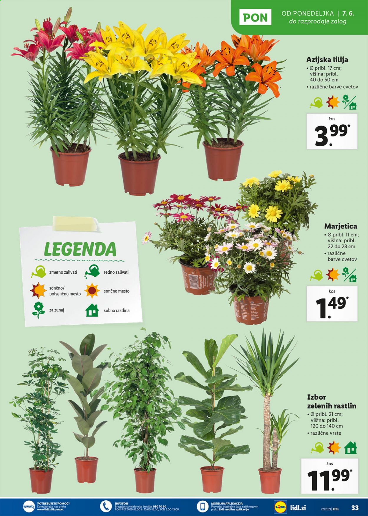 Lidl katalog - 3.6.2021 - 13.6.2021. Stran 33