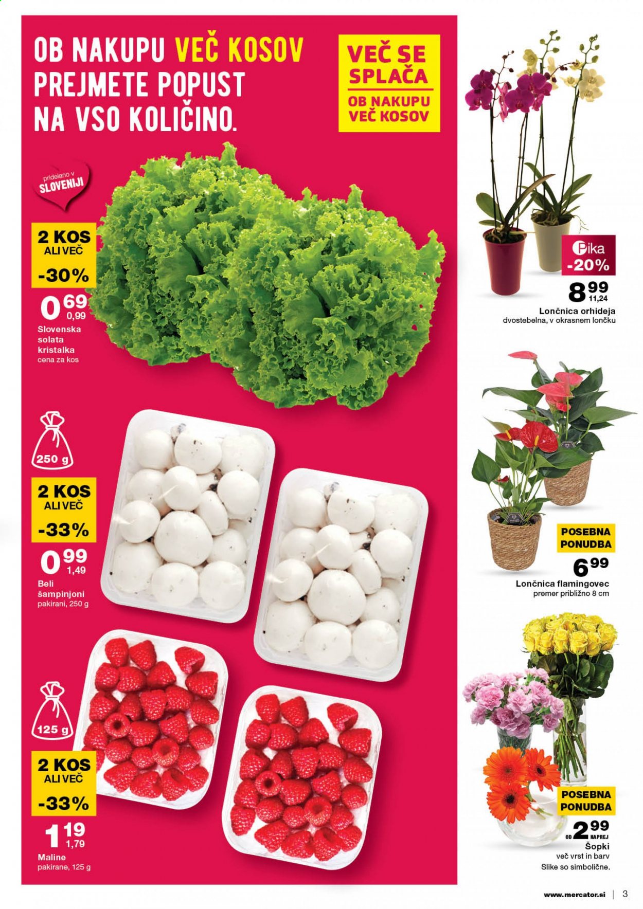 Mercator katalog - 3.6.2021 - 9.6.2021. Stran 3