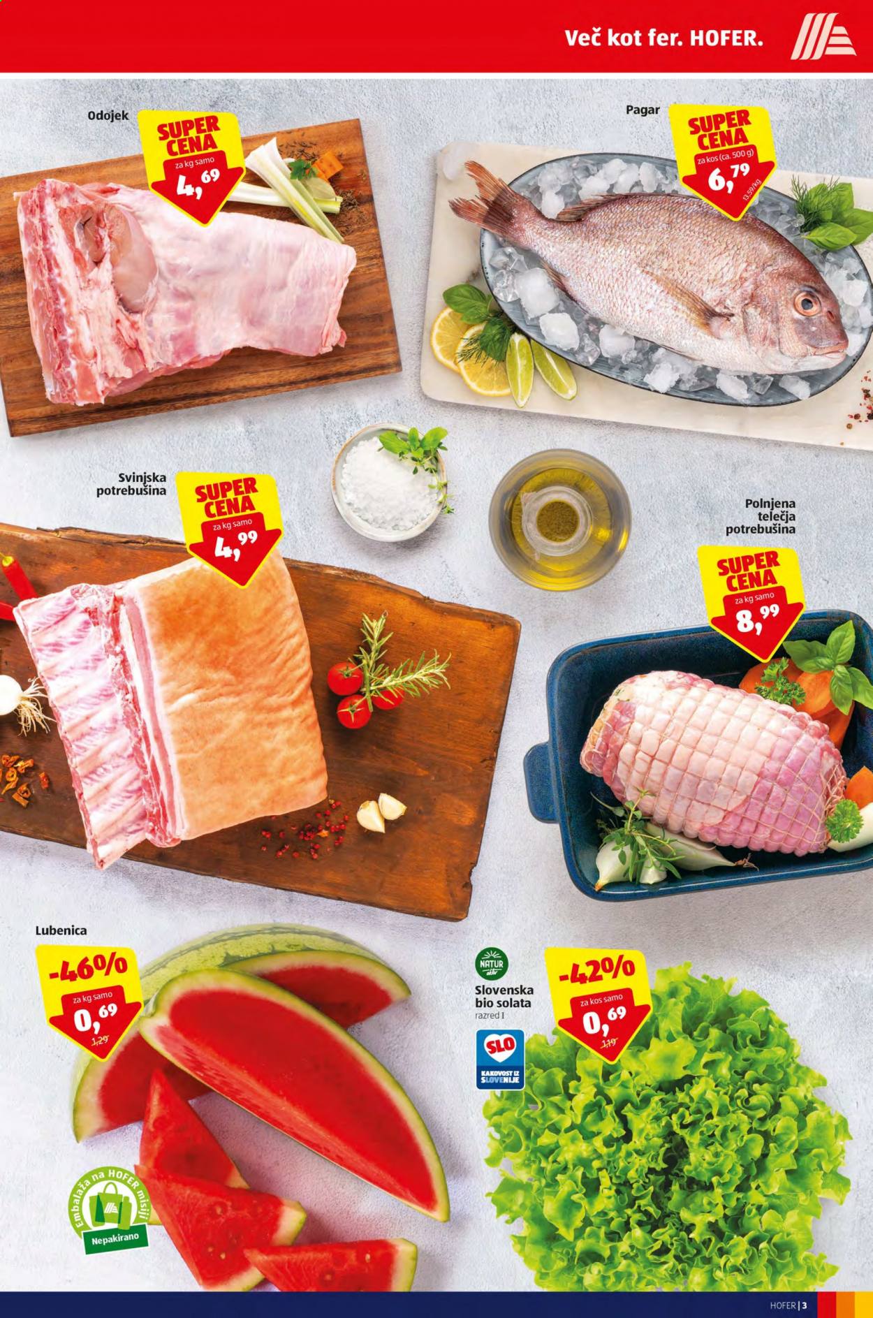 Hofer katalog - 4.6.2021 - 12.6.2021. Stran 3