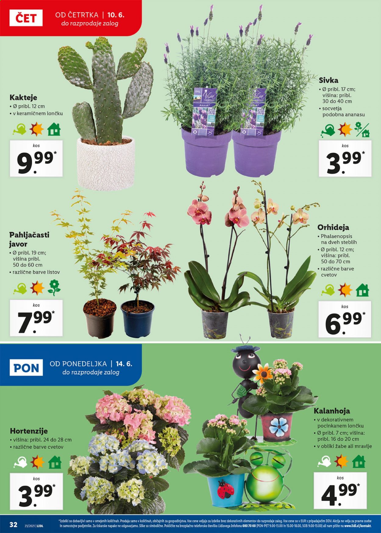 Lidl katalog - 10.6.2021 - 20.6.2021. Stran 32