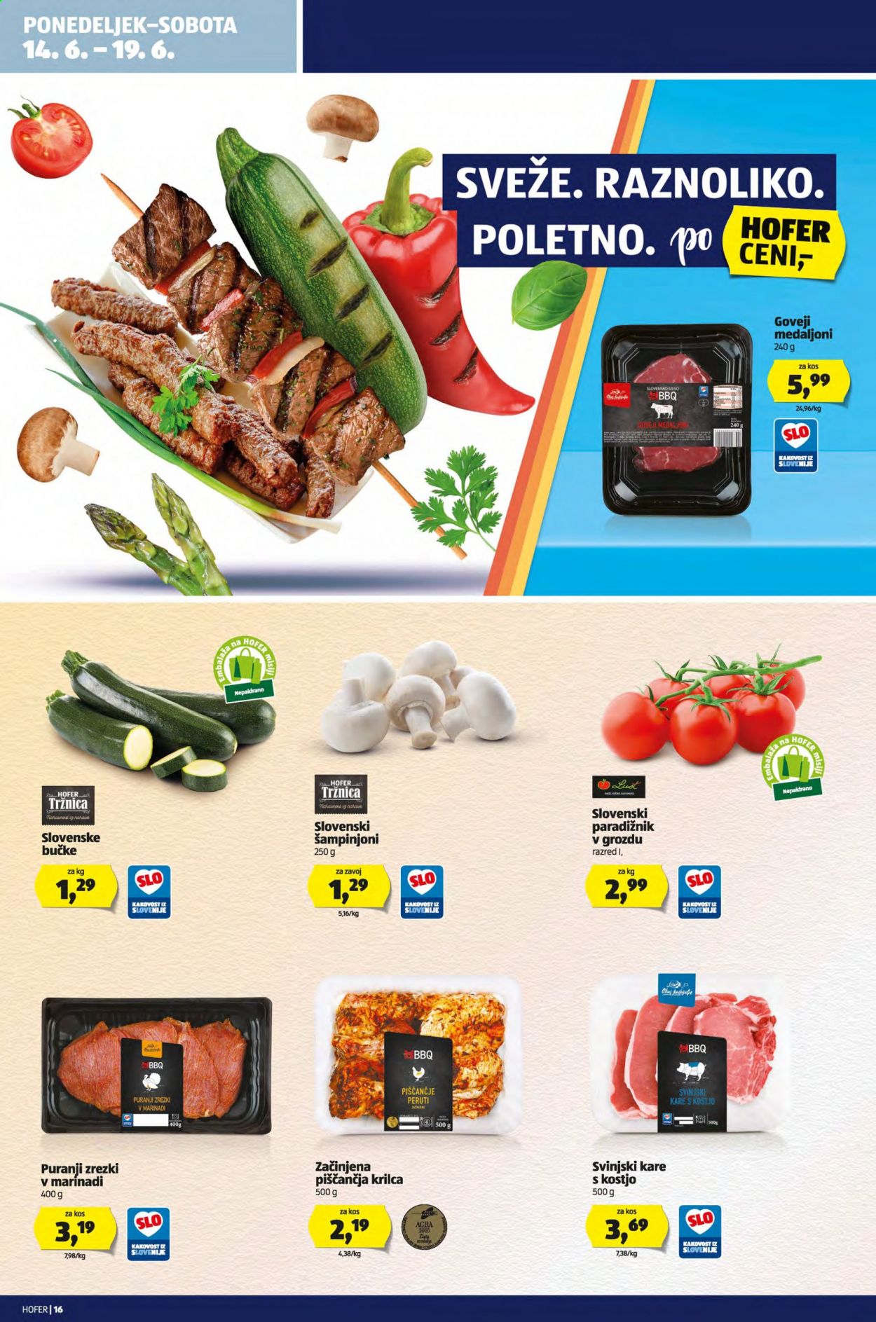 Hofer katalog - 11.6.2021 - 19.6.2021. Stran 16