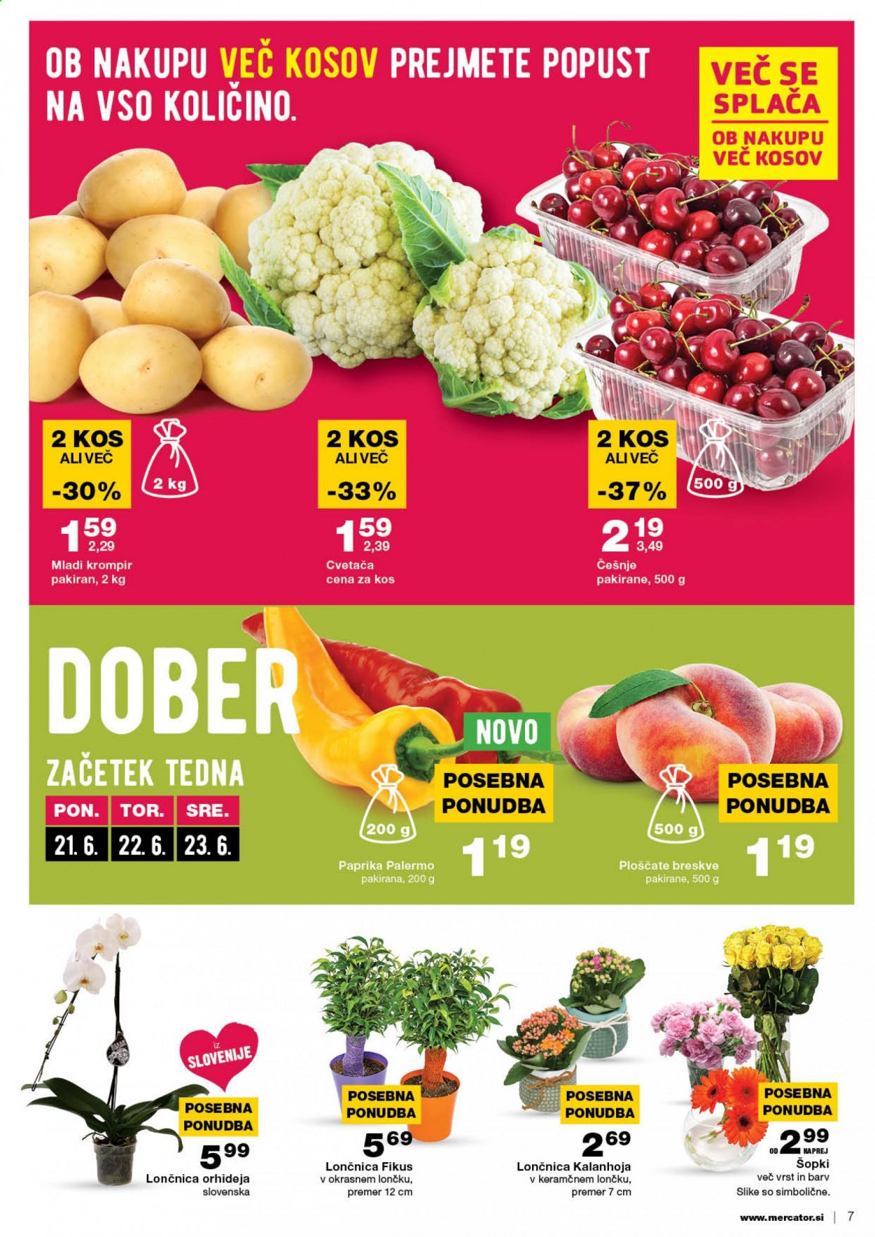 Mercator katalog - 17.6.2021 - 23.6.2021. Stran 7