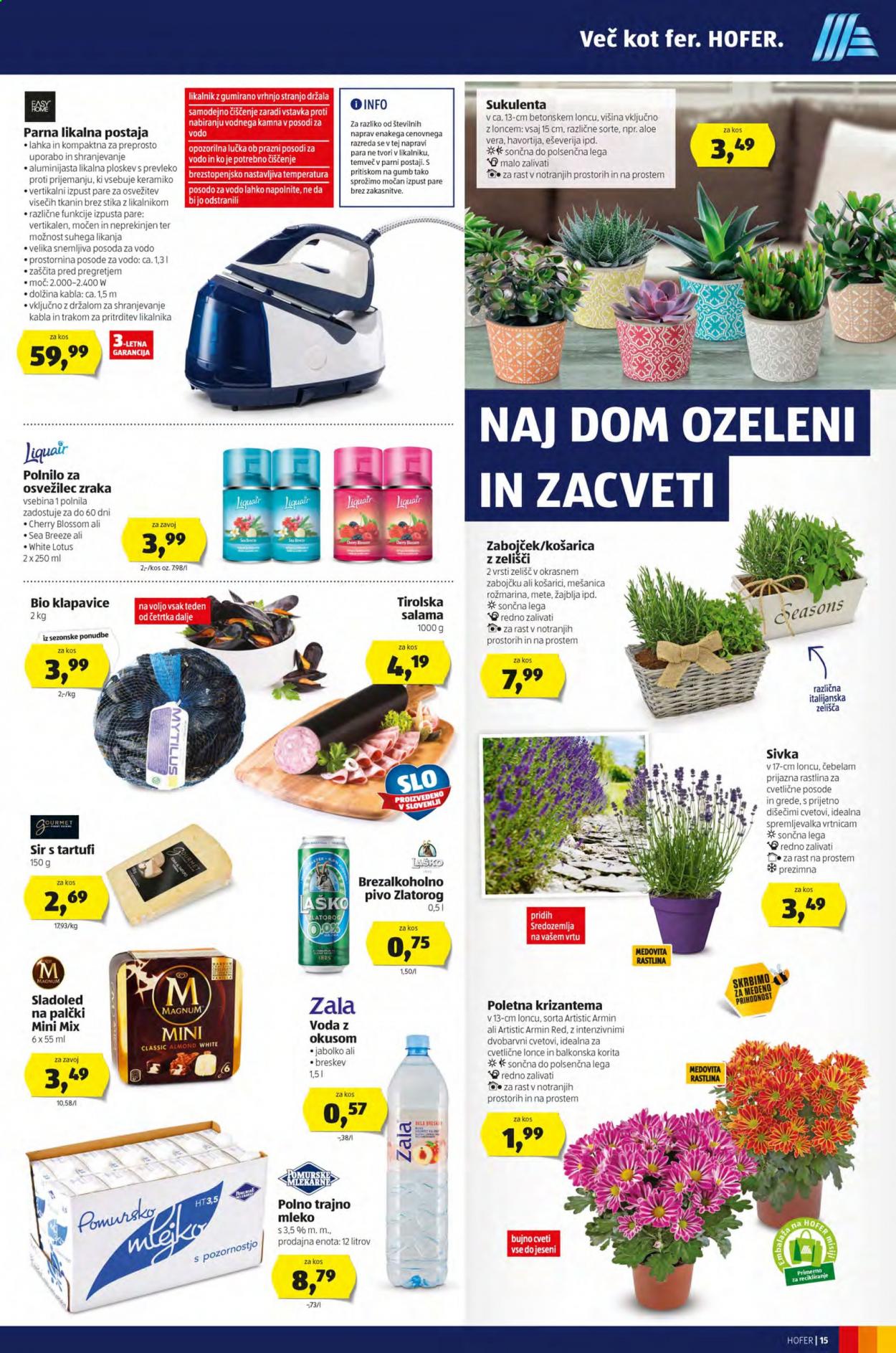 Hofer katalog - 17.6.2021 - 26.6.2021. Stran 19