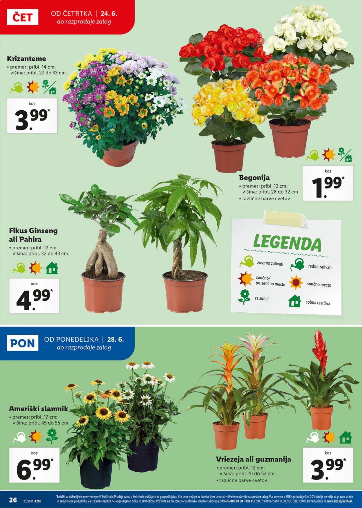 Lidl katalog - 24.6.2021 - 4.7.2021. Stran 26