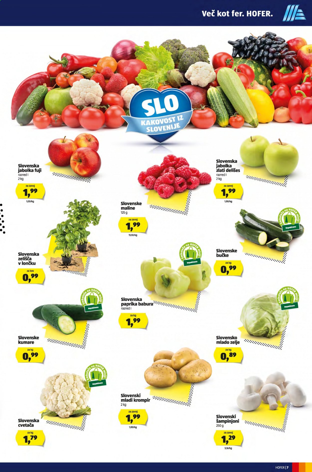 Hofer katalog - 24.6.2021 - 3.7.2021. Stran 7