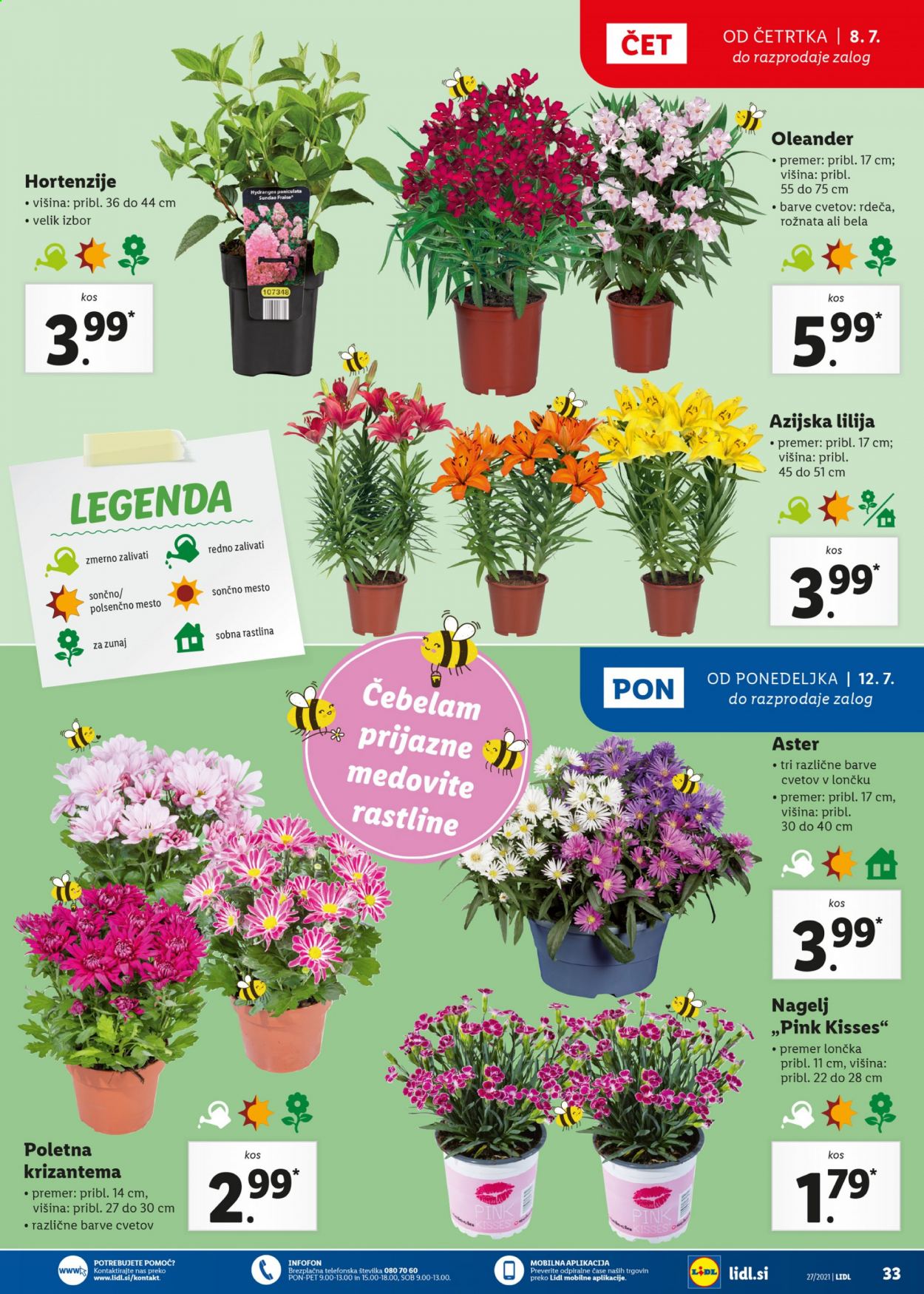 Lidl katalog - 8.7.2021 - 18.7.2021. Stran 33
