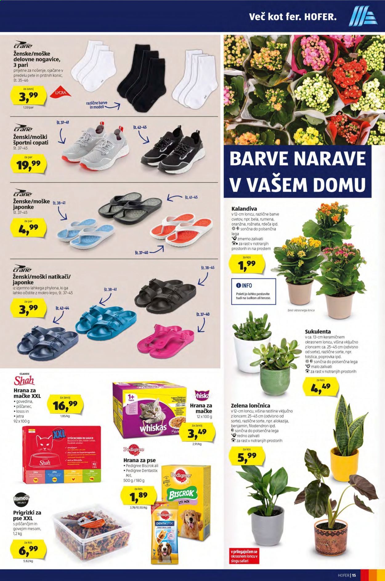 Hofer katalog - 16.7.2021 - 24.7.2021. Stran 15