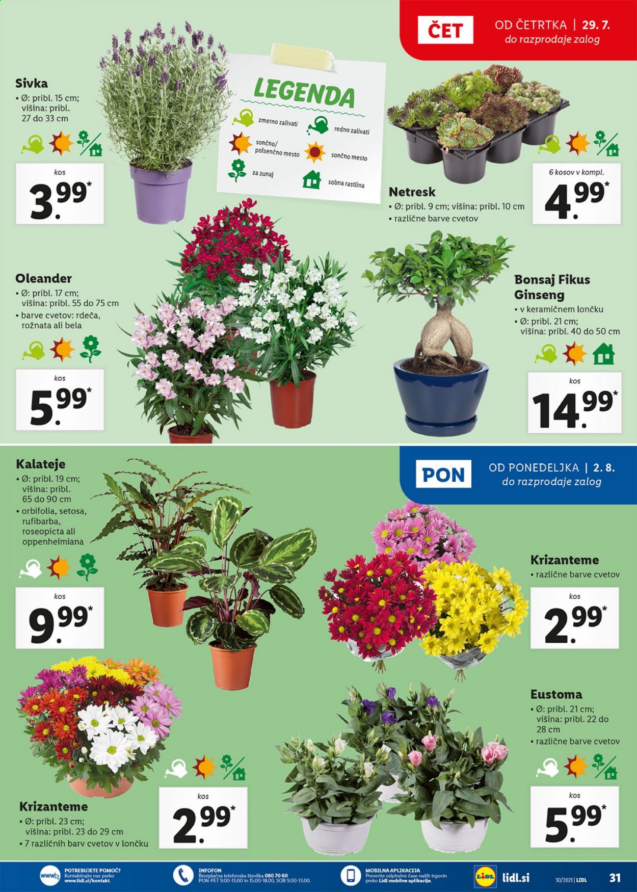 Lidl katalog - 29.7.2021 - 8.8.2021. Stran 31