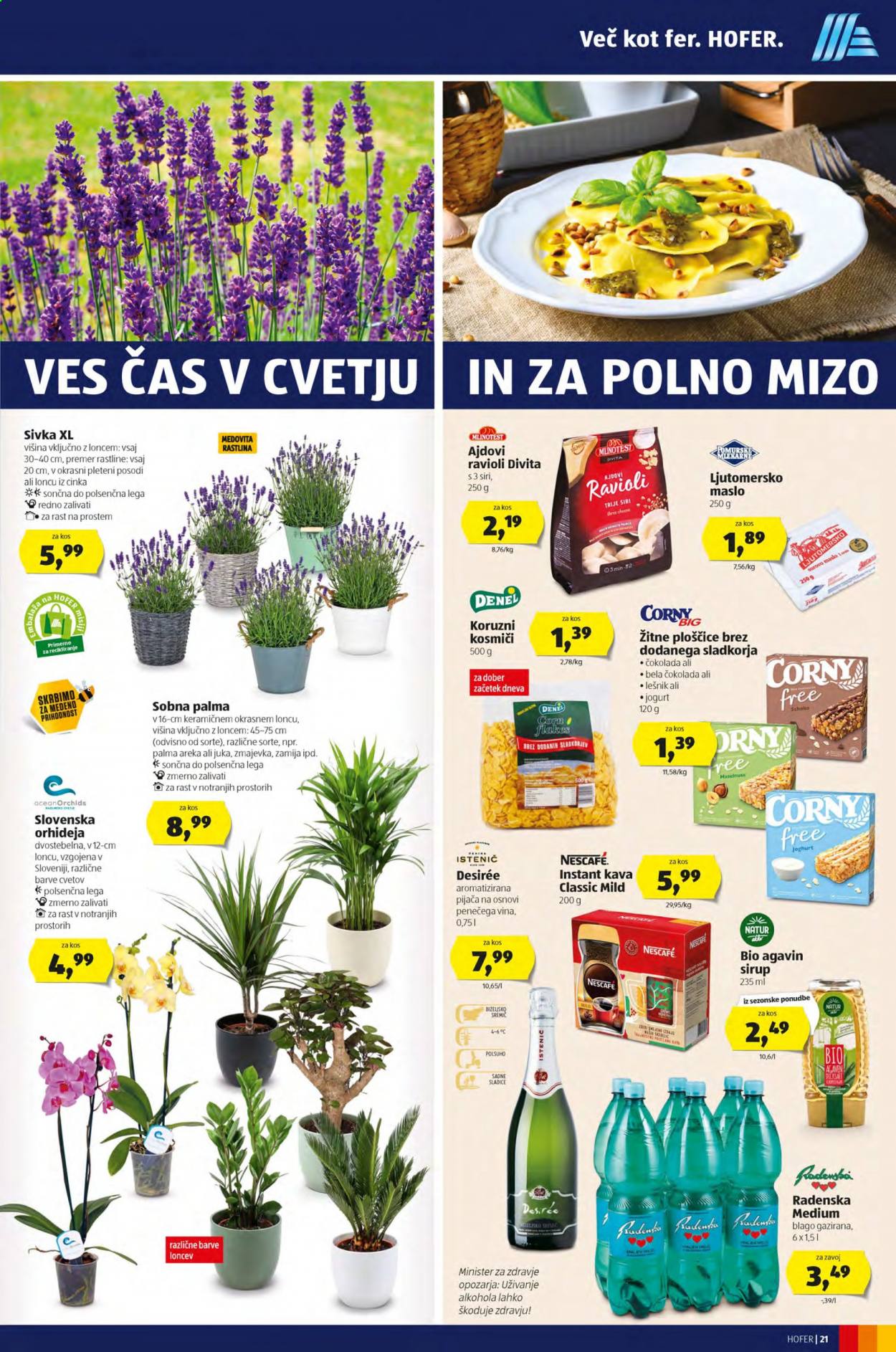 Hofer katalog - 30.7.2021 - 7.8.2021. Stran 21