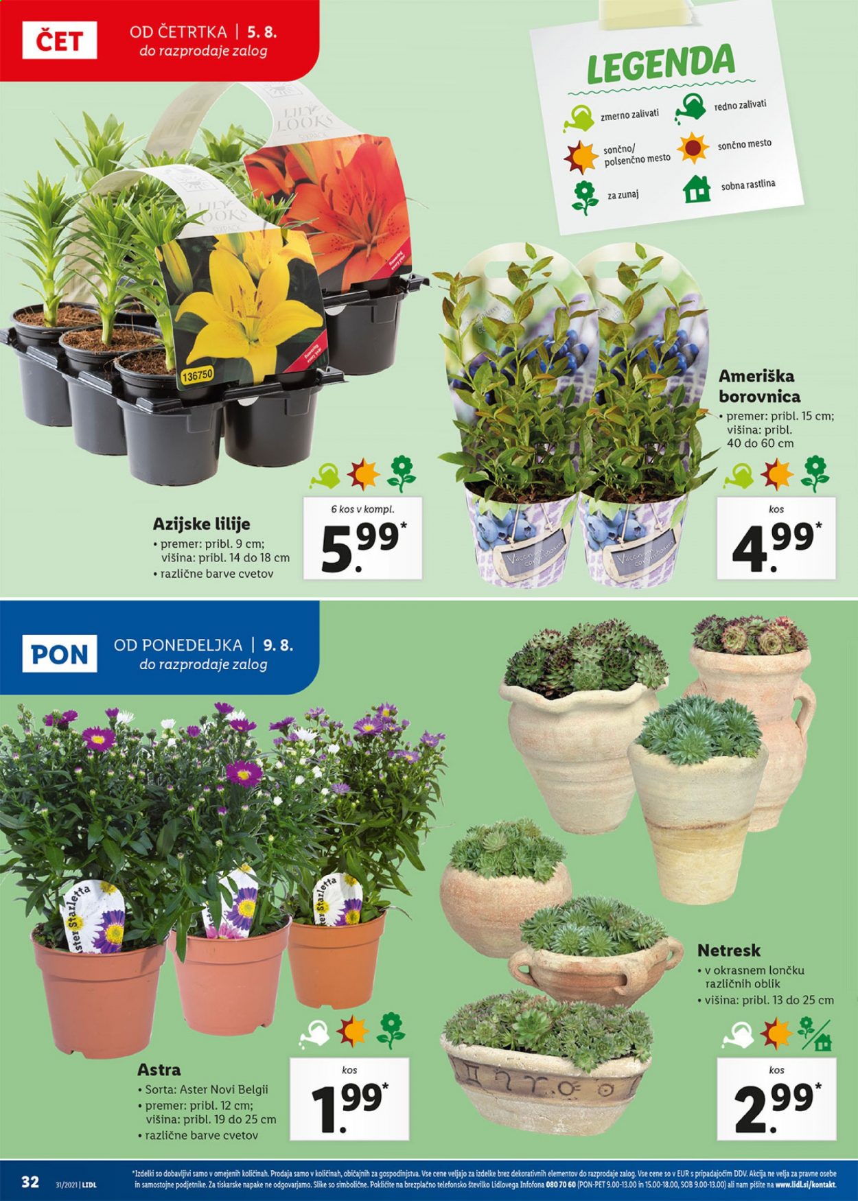 Lidl katalog - 5.8.2021 - 15.8.2021. Stran 32