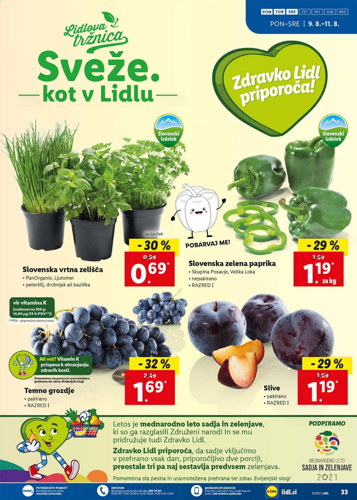Lidl katalog - 5.8.2021 - 15.8.2021. Stran 33