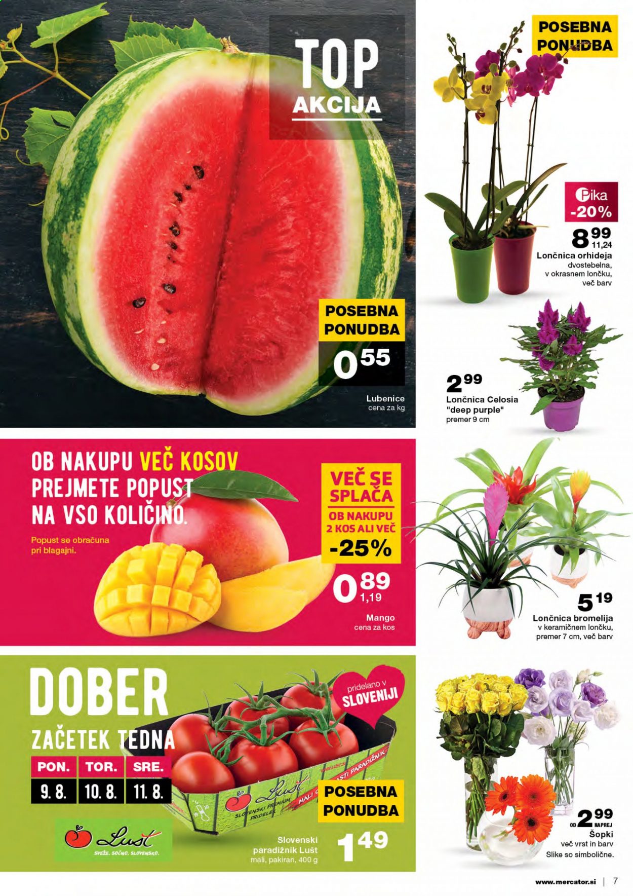 Mercator katalog - 5.8.2021 - 11.8.2021. Stran 7