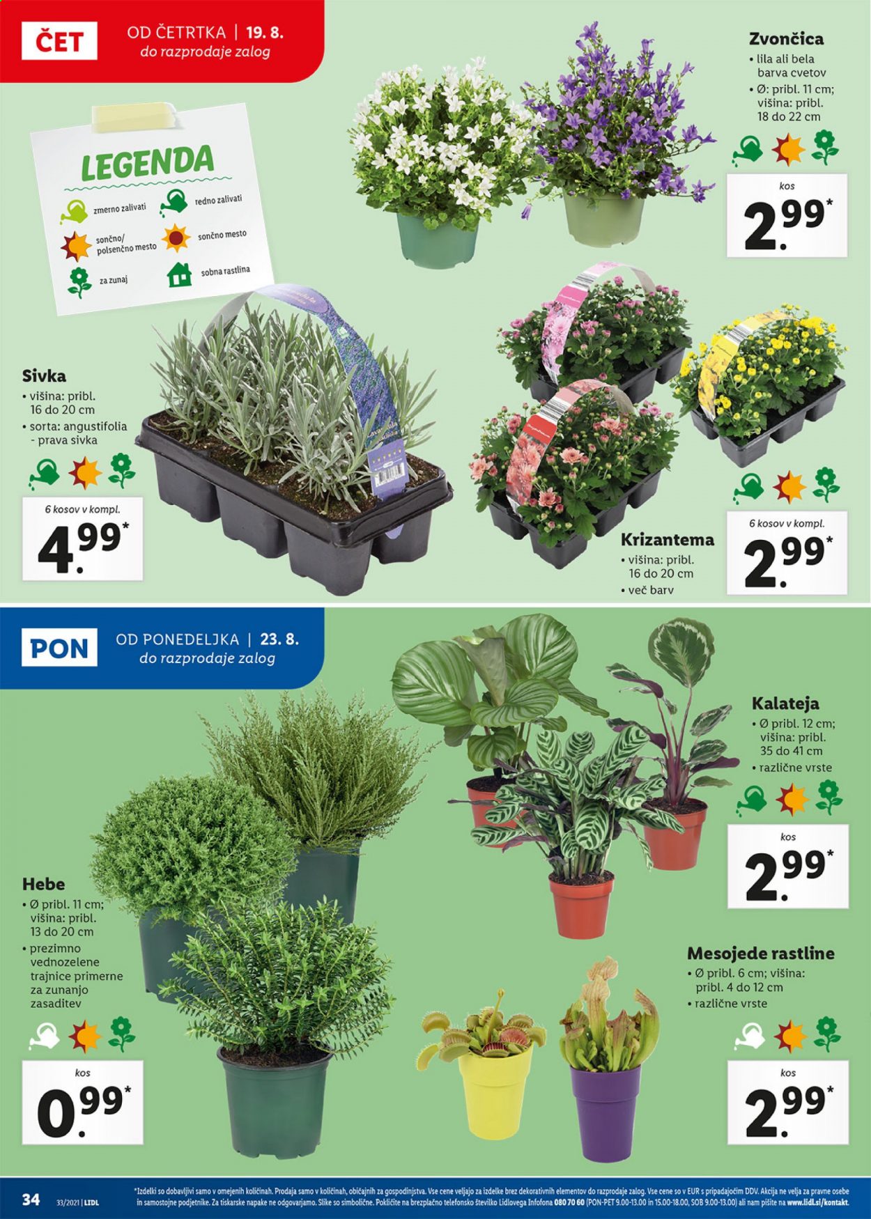 Lidl katalog - 19.8.2021 - 29.8.2021. Stran 34