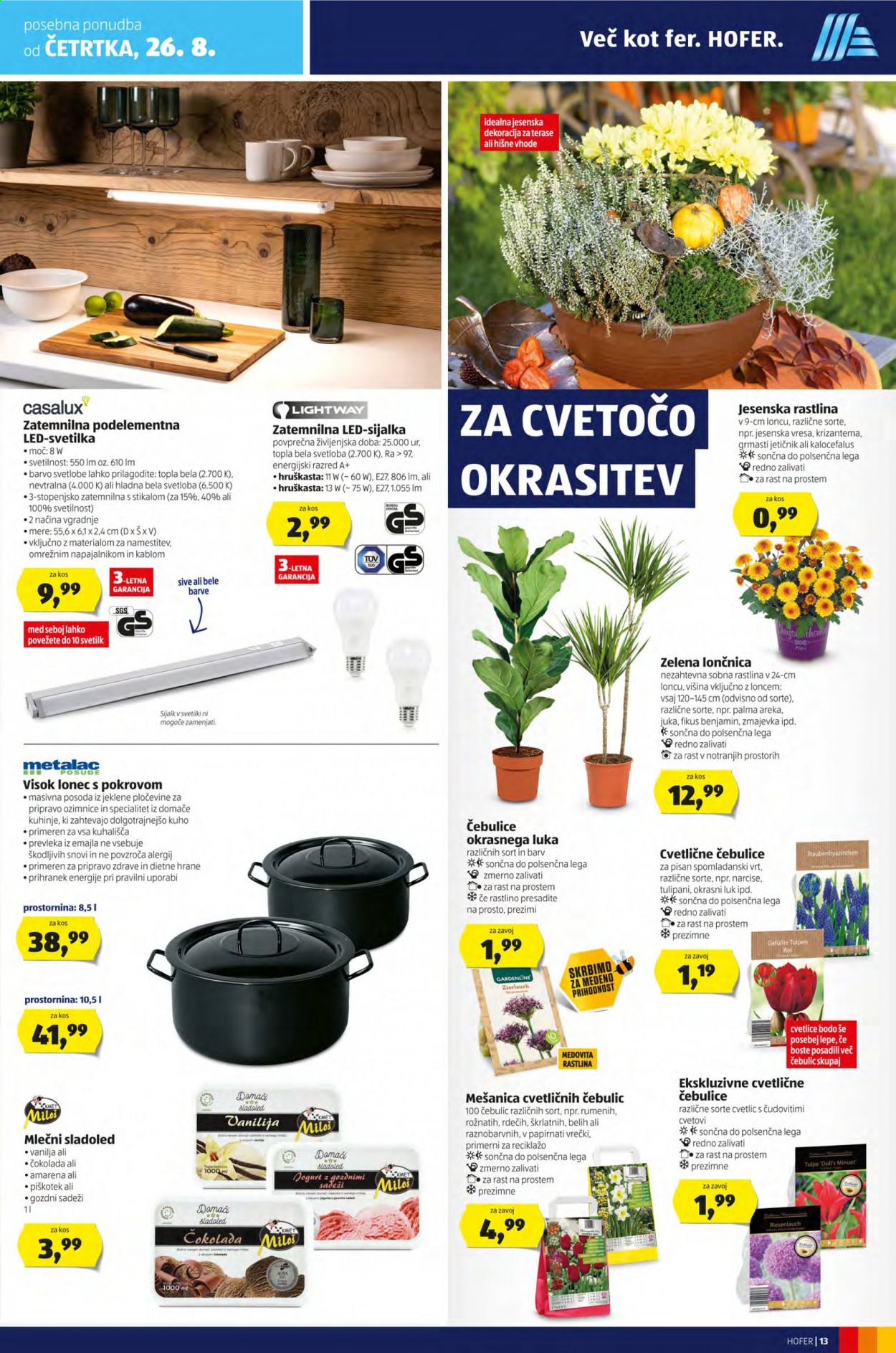 Hofer katalog - 19.8.2021 - 28.8.2021. Stran 13