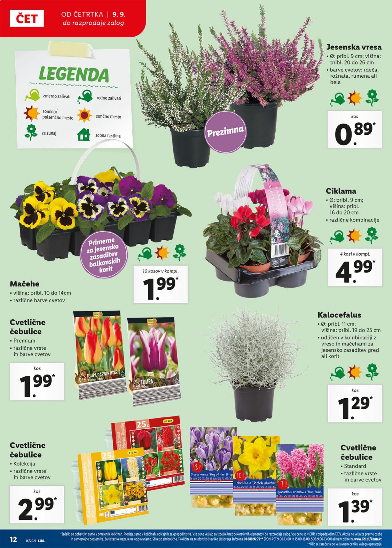 Lidl katalog - 9.9.2021 - 19.9.2021. Stran 12