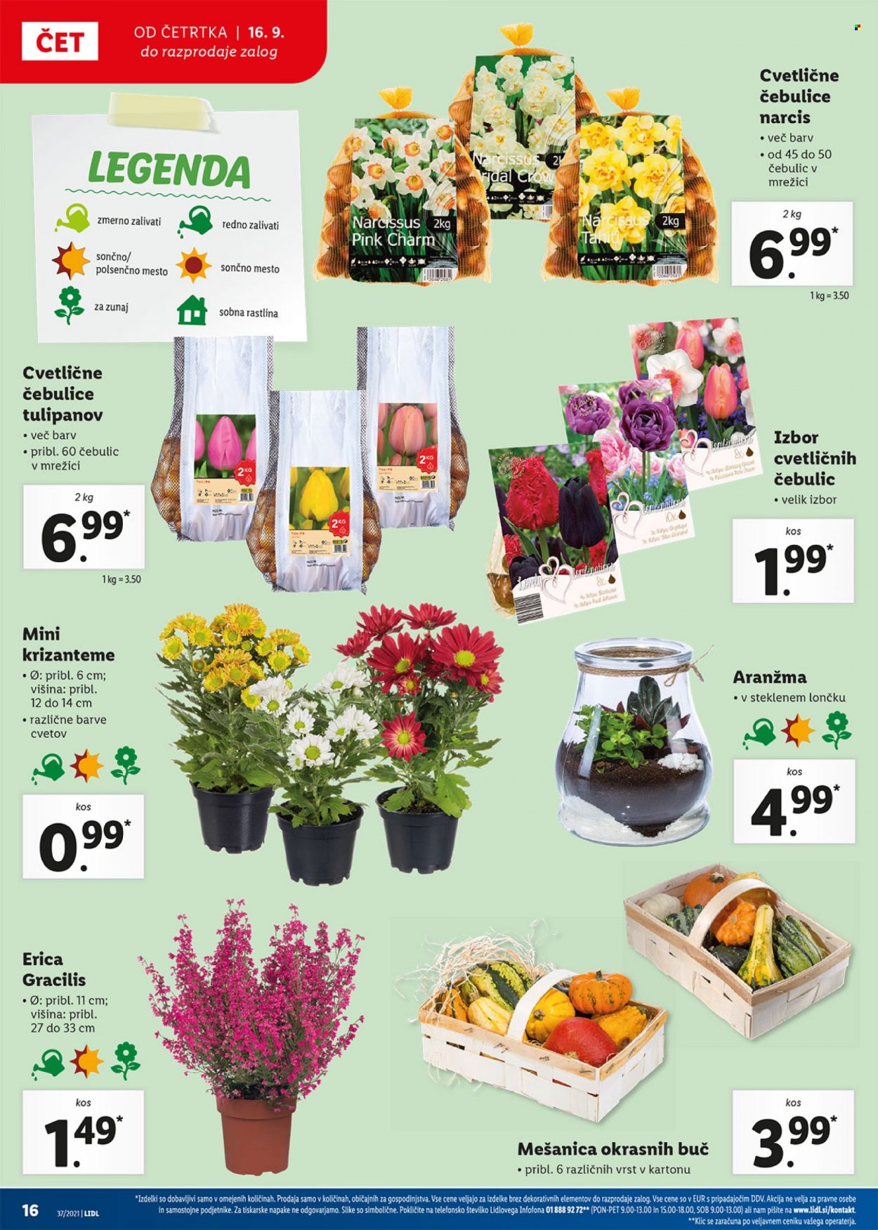 Lidl katalog - 16.9.2021 - 26.9.2021. Stran 16