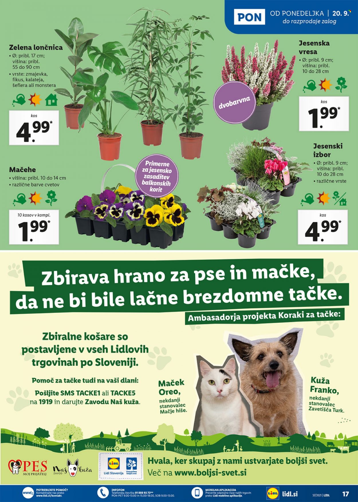 Lidl katalog - 16.9.2021 - 26.9.2021. Stran 17