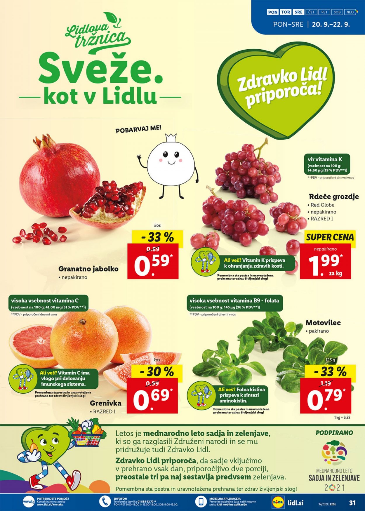 Lidl katalog - 16.9.2021 - 26.9.2021. Stran 31