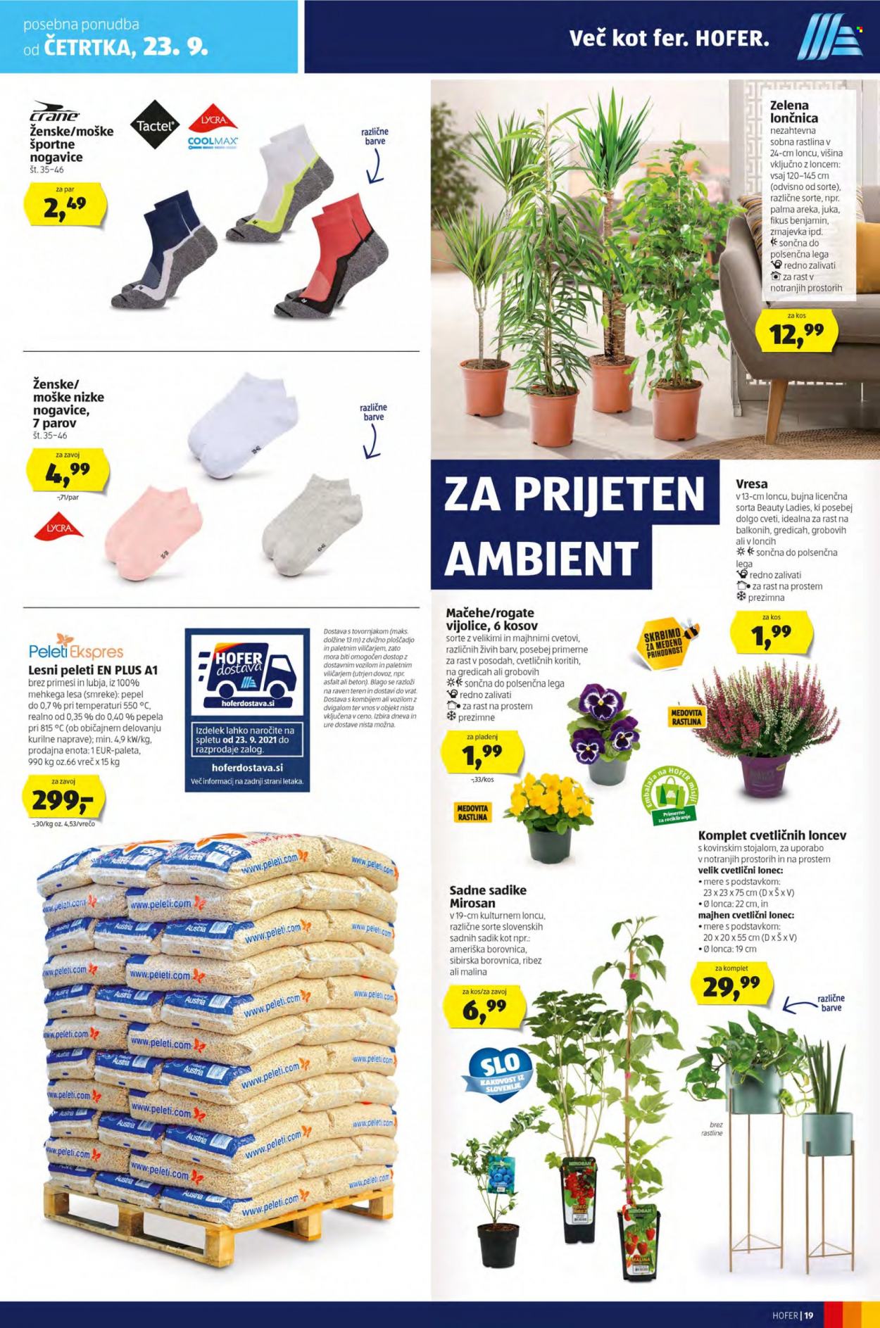 Hofer katalog - 17.9.2021 - 25.9.2021. Stran 19