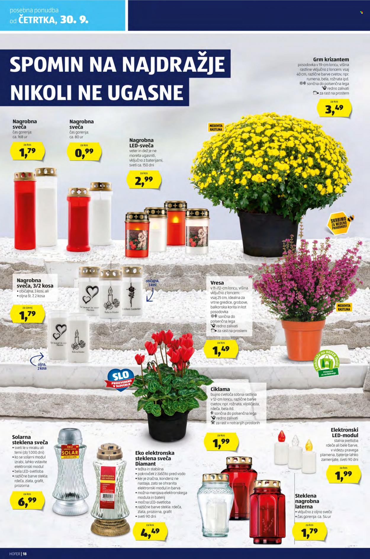 Hofer katalog - 24.9.2021 - 2.10.2021. Stran 18