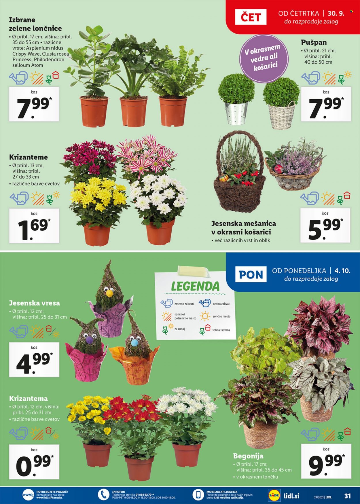 Lidl katalog - 30.9.2021 - 10.10.2021. Stran 31