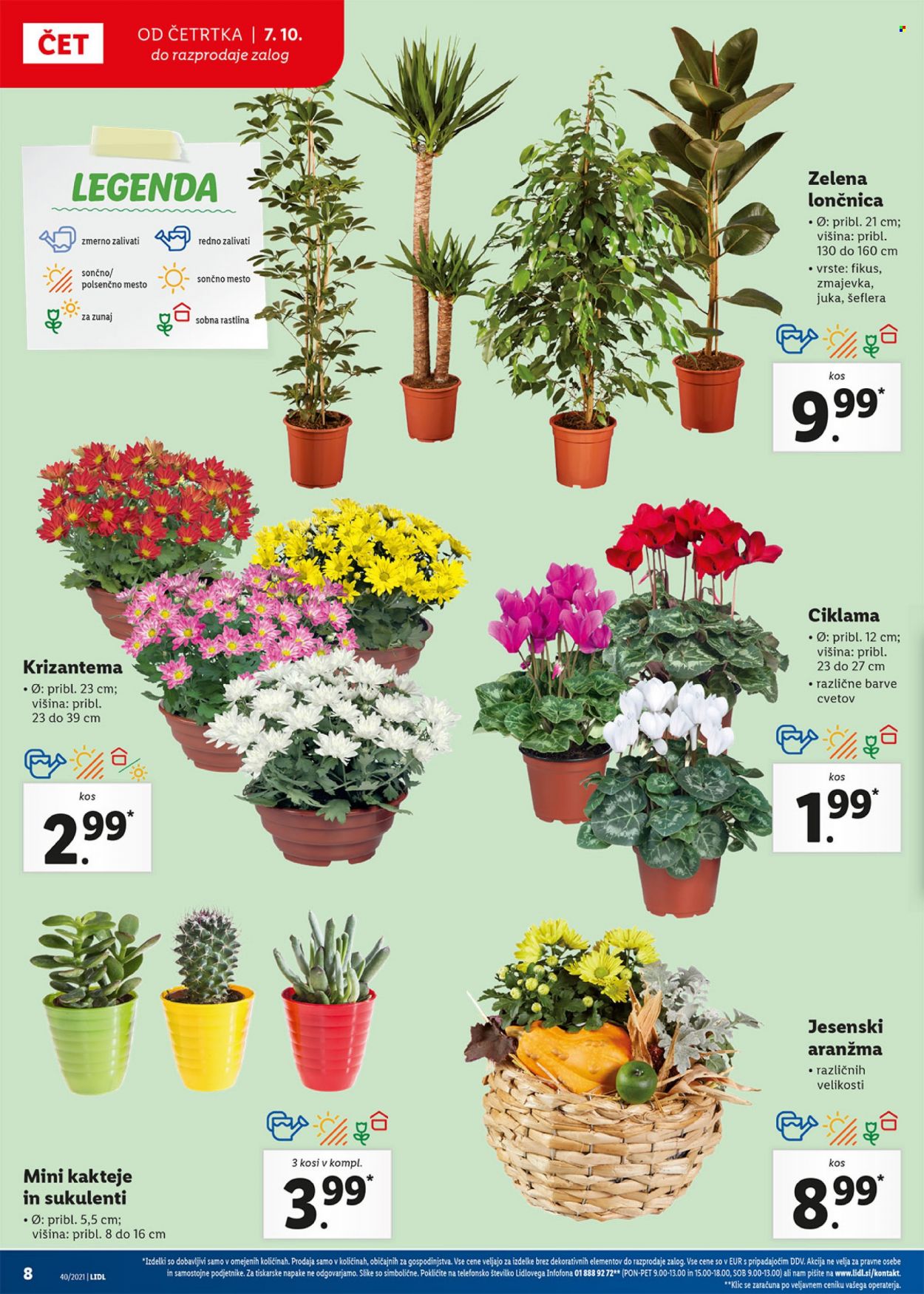 Lidl katalog - 7.10.2021 - 17.10.2021. Stran 8