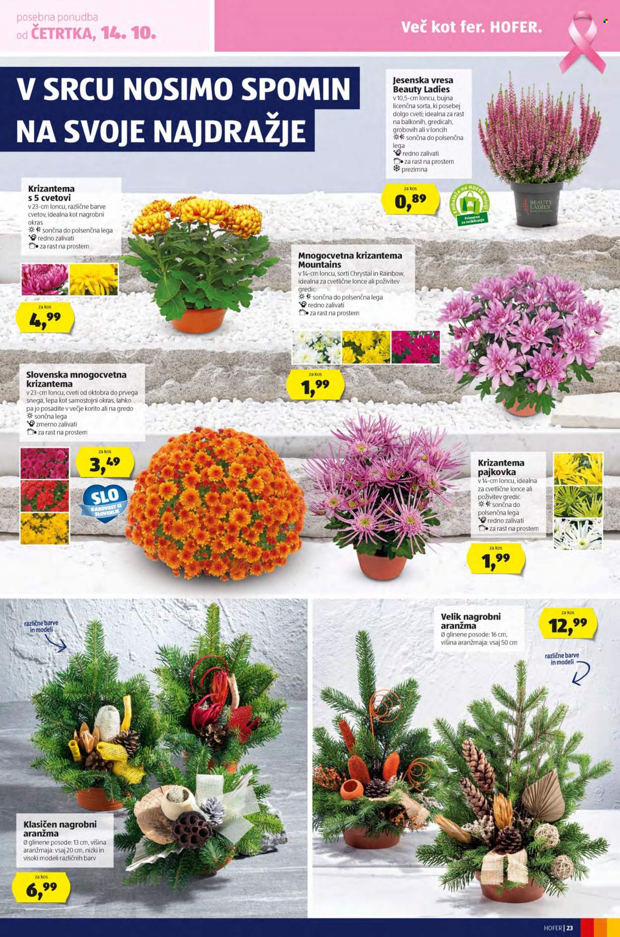 Hofer katalog - 8.10.2021 - 16.10.2021. Stran 23