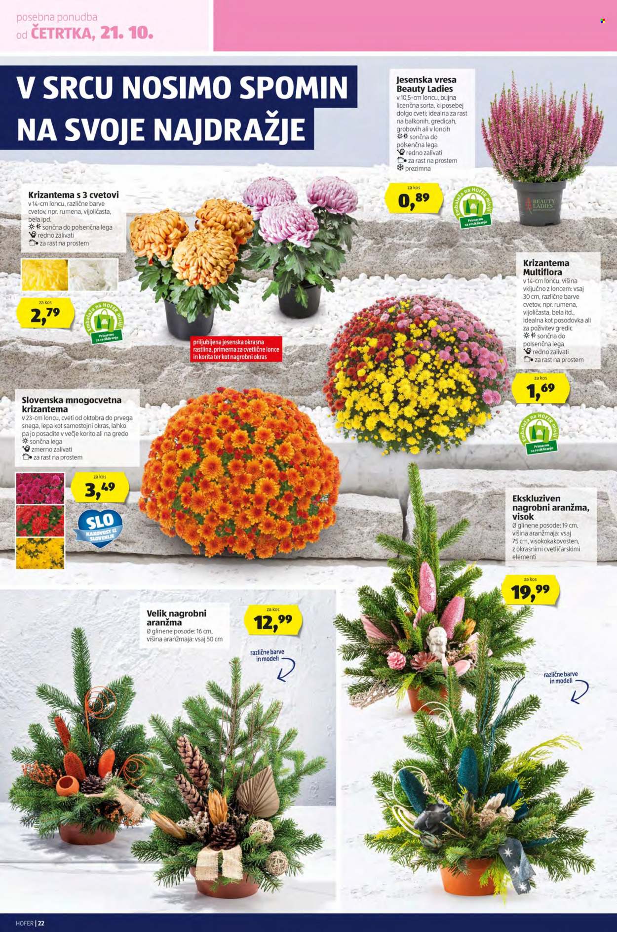 Hofer katalog - 15.10.2021 - 23.10.2021. Stran 22