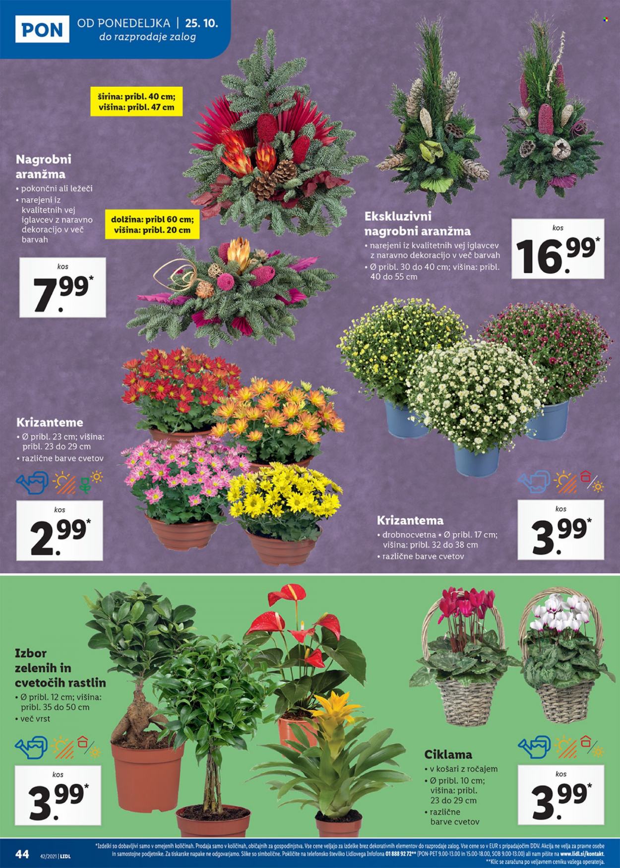 Lidl katalog - 21.10.2021 - 31.10.2021. Stran 44