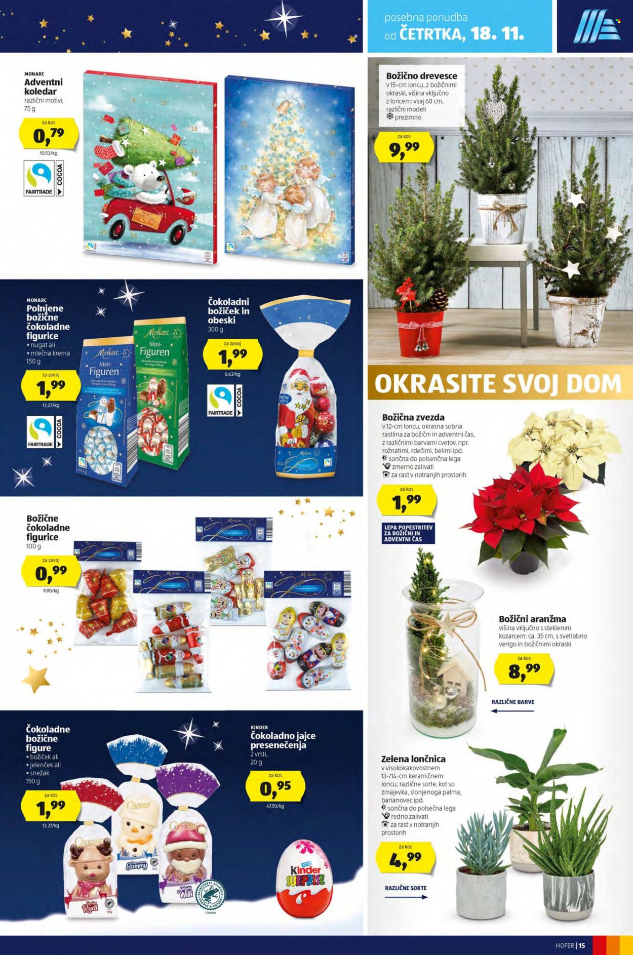 Hofer katalog - 11.11.2021 - 21.11.2021. Stran 19