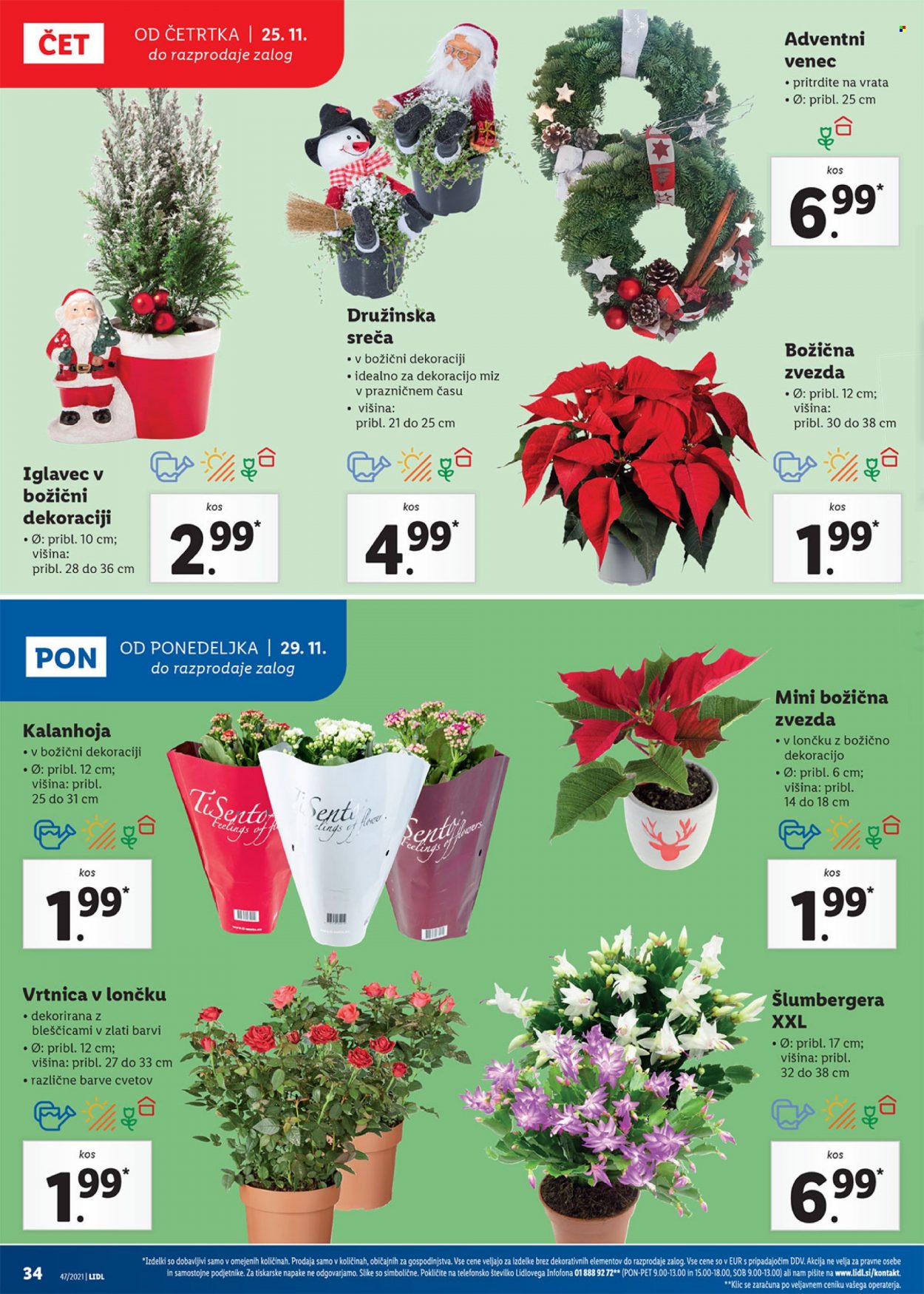 Lidl katalog - 25.11.2021 - 5.12.2021. Stran 34