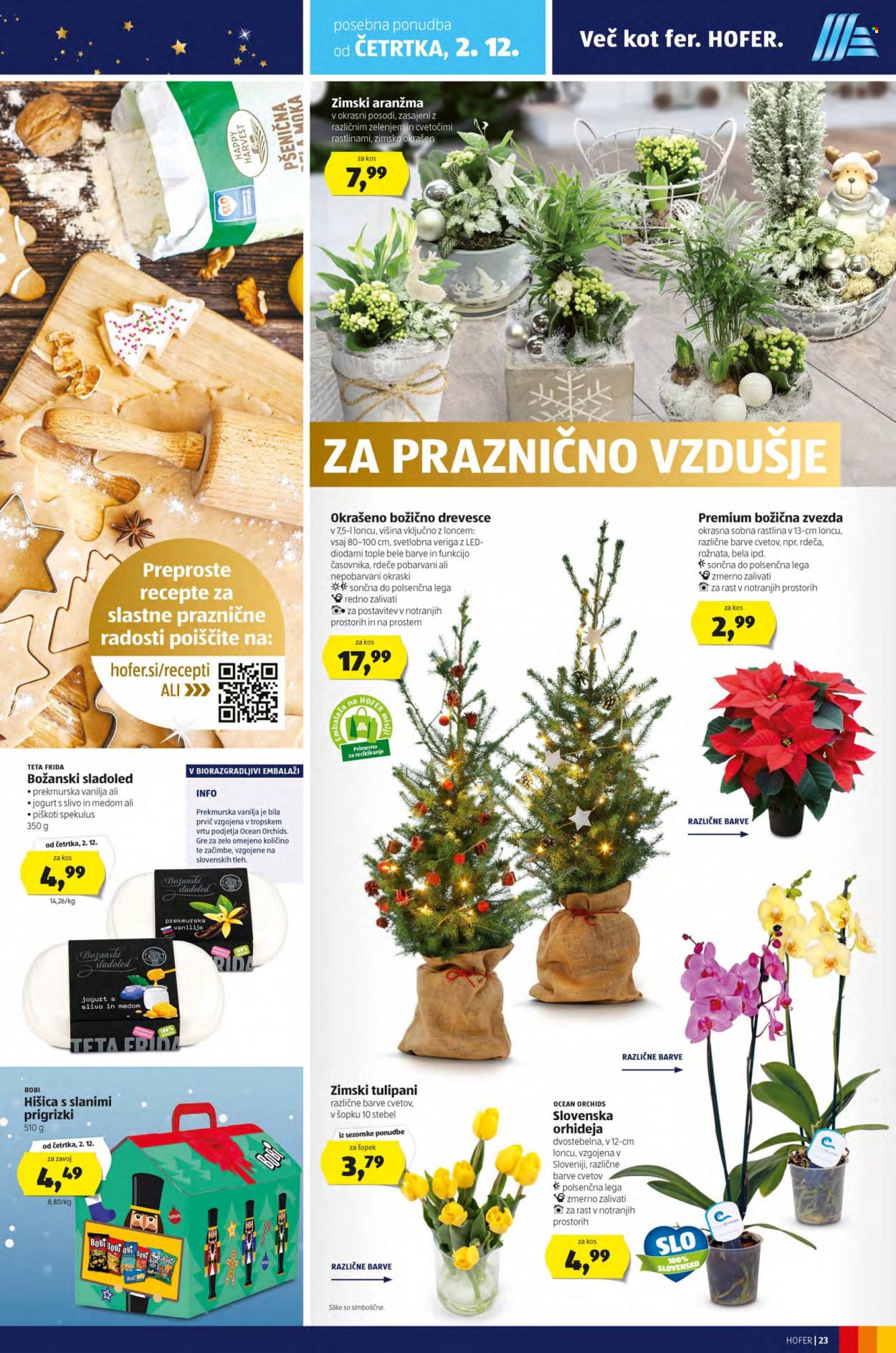 Hofer katalog - 26.11.2021 - 4.12.2021. Stran 27