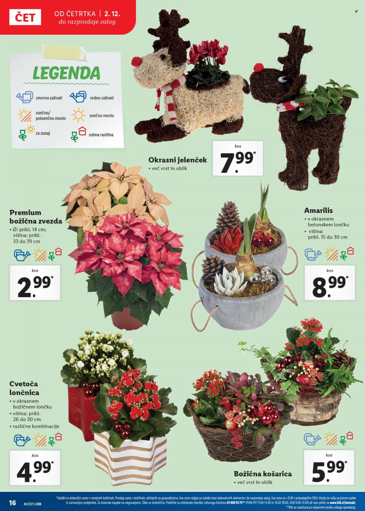 Lidl katalog - 2.12.2021 - 12.12.2021. Stran 16