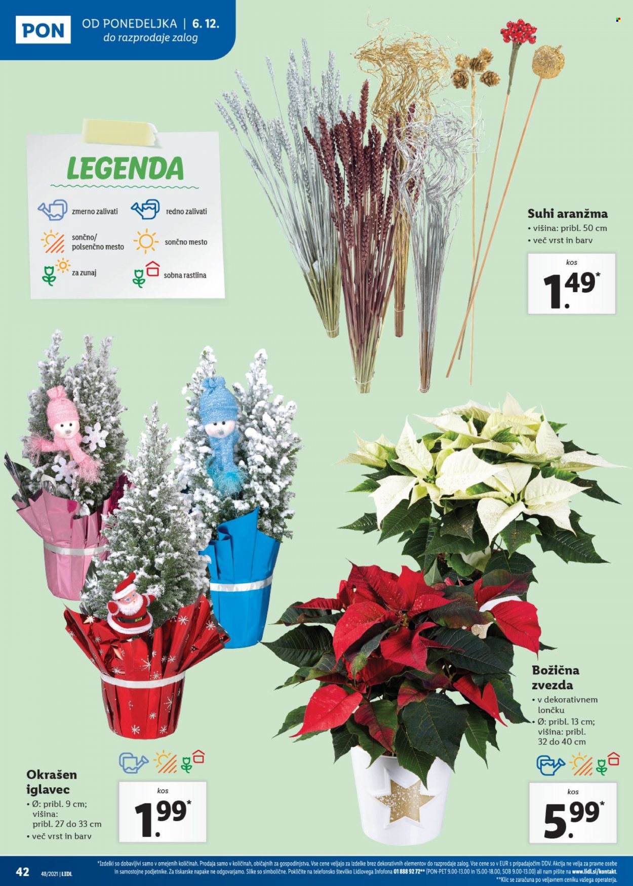 Lidl katalog - 2.12.2021 - 12.12.2021. Stran 42