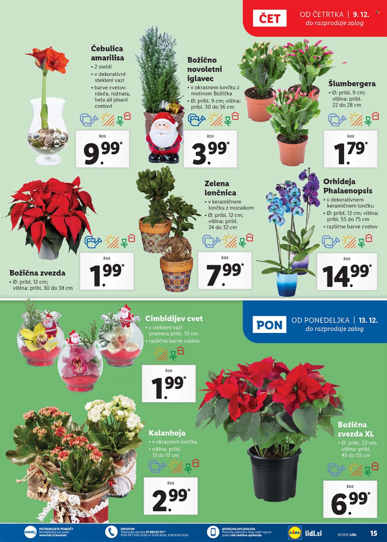 Lidl katalog - 9.12.2021 - 19.12.2021. Stran 15