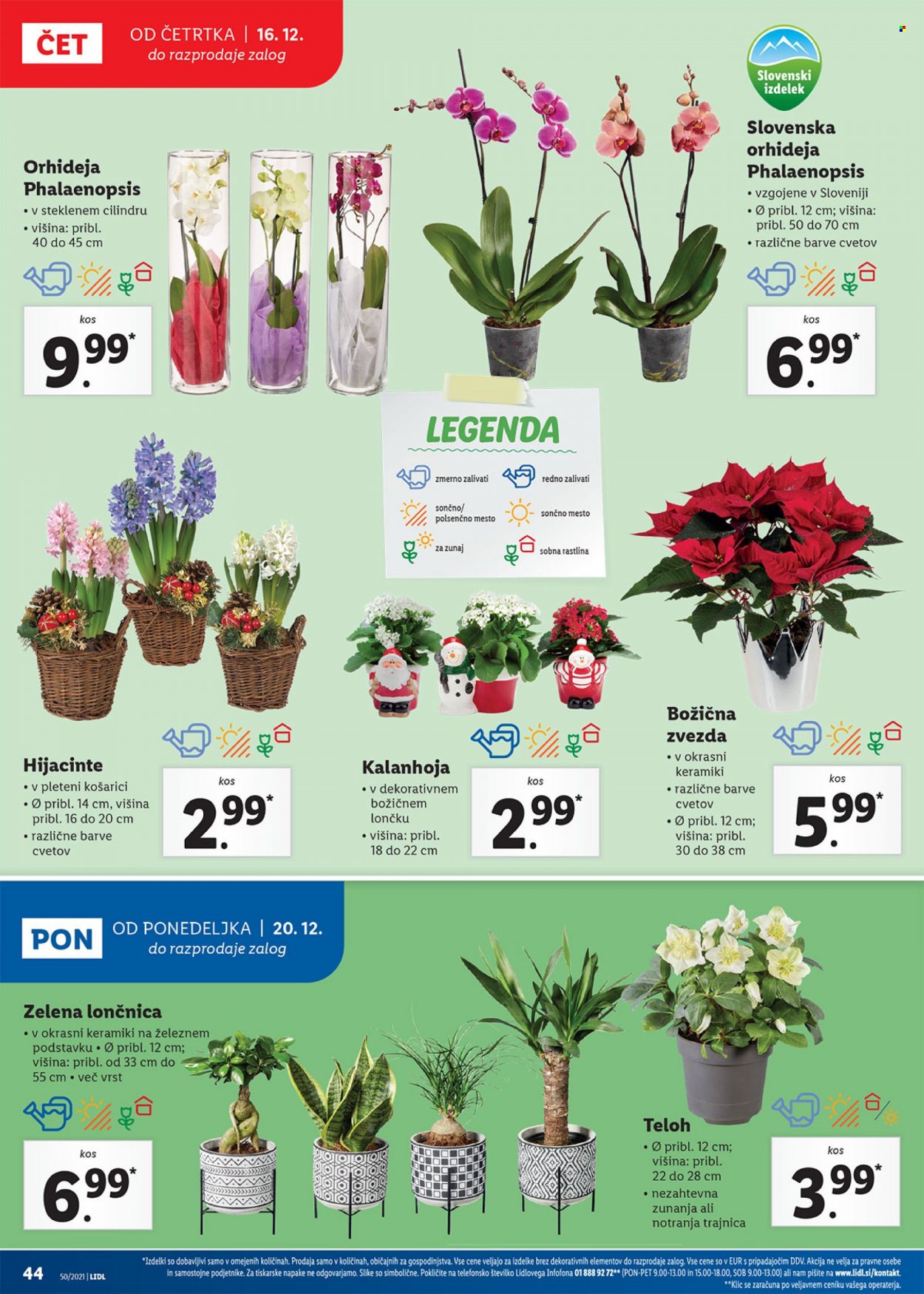 Lidl katalog - 16.12.2021 - 26.12.2021. Stran 44