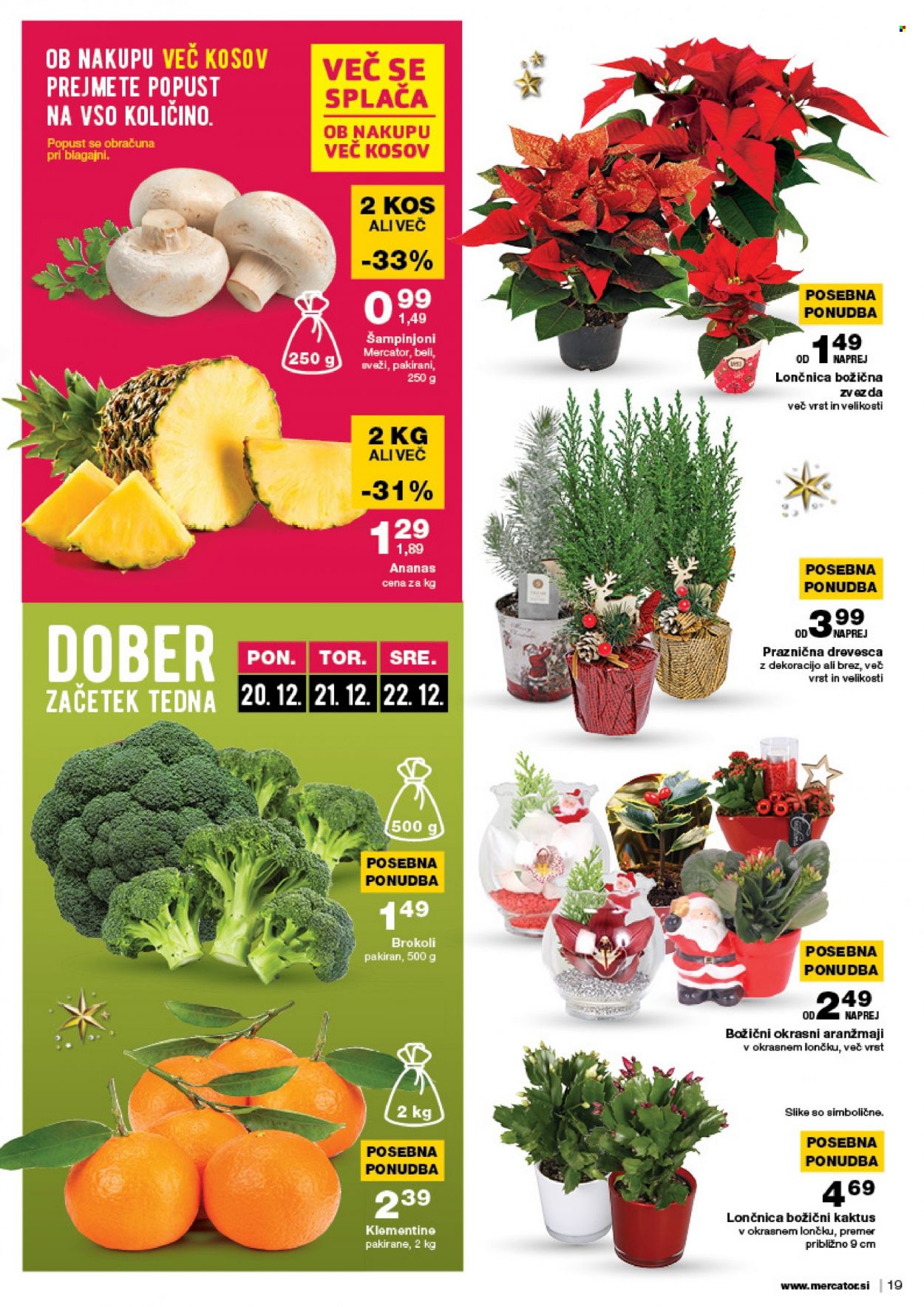 Mercator katalog - 16.12.2021 - 22.12.2021. Stran 19