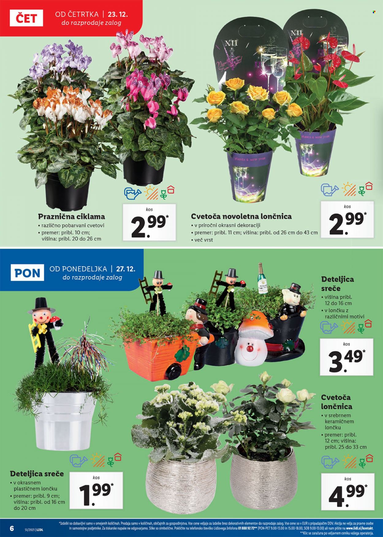 Lidl katalog - 23.12.2021 - 2.1.2022. Stran 6