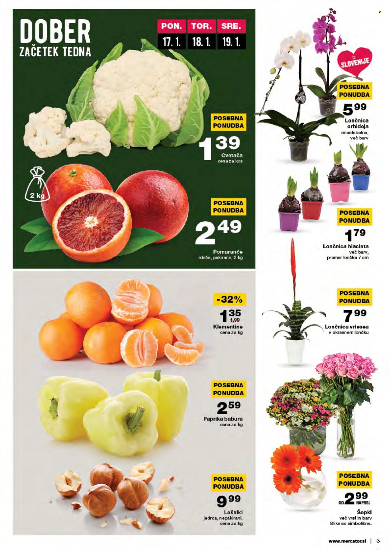 Mercator katalog - 13.1.2022 - 19.1.2022. Stran 3