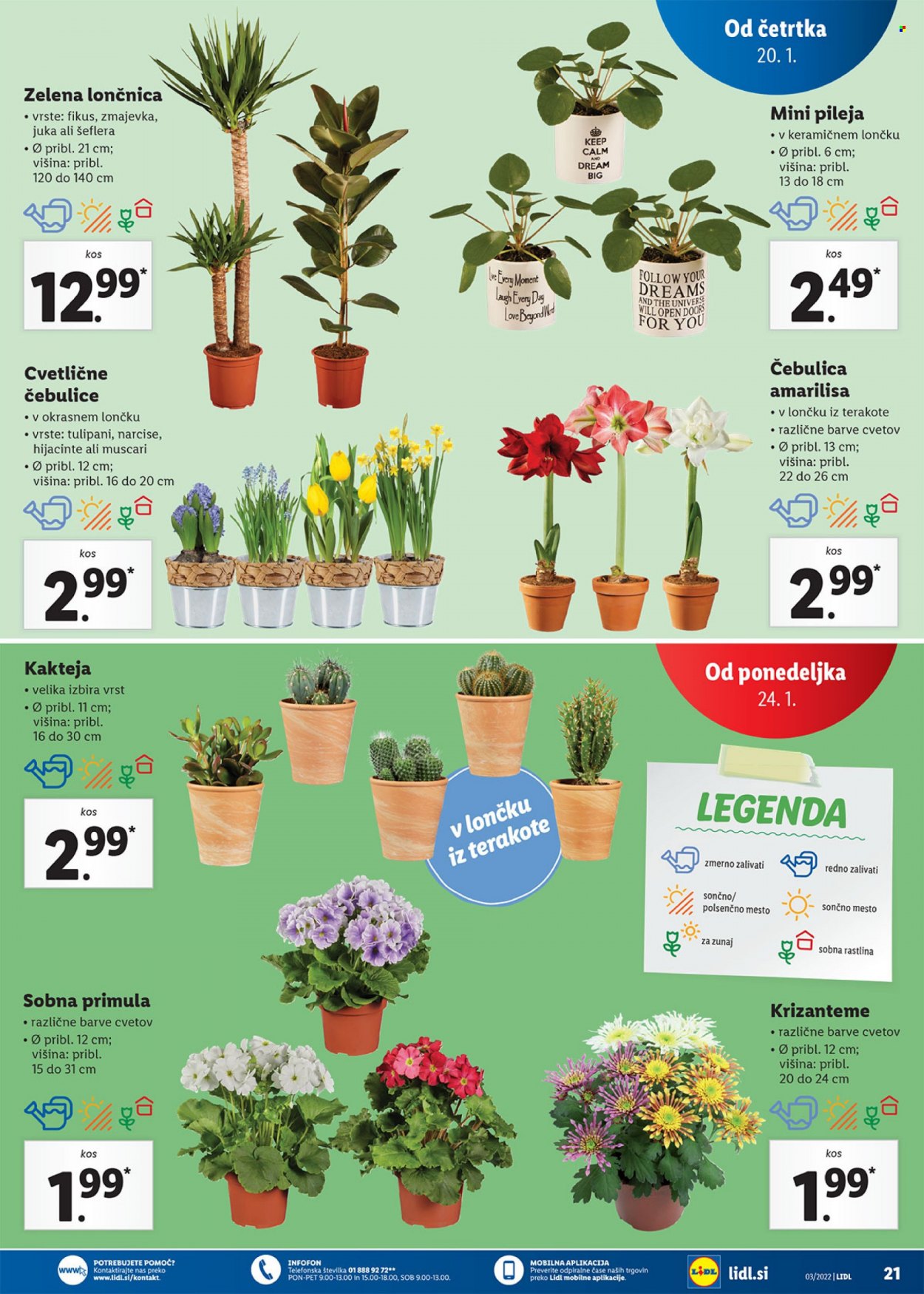 Lidl katalog - 20.1.2022 - 30.1.2022. Stran 21